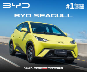 BYD Seagull